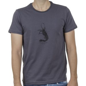 Κοντομάνικη Μπλούζα T-Shirt SCINN ST107 SS20 Ανθρακί